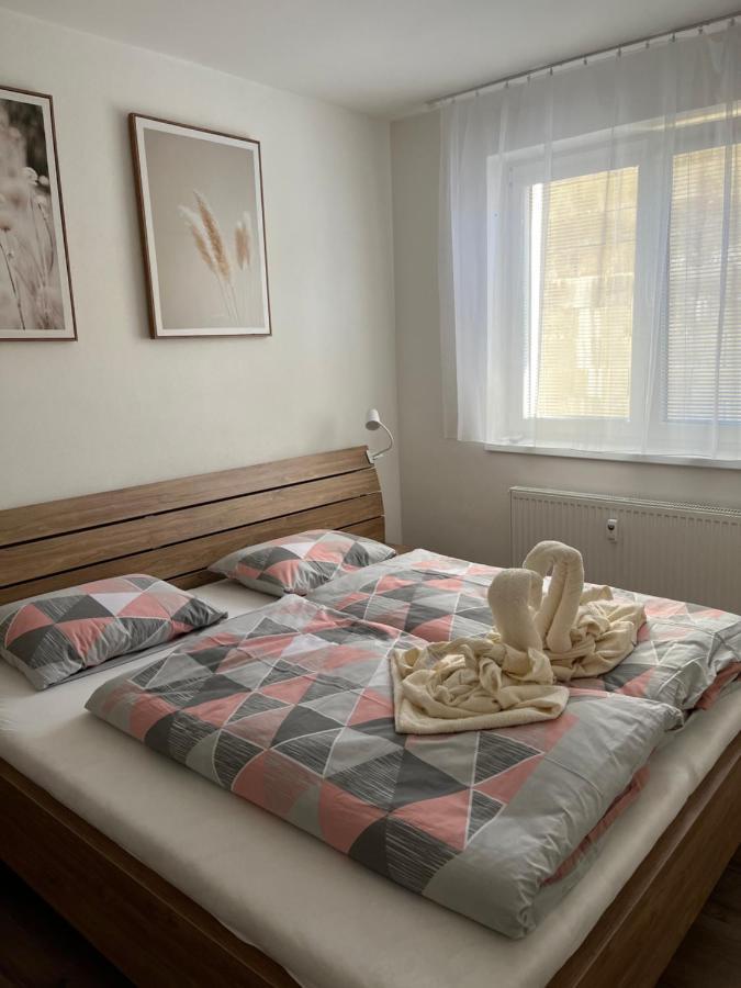 Novy Apartman V Arealu Wellness Hotelu Frymburk Εξωτερικό φωτογραφία