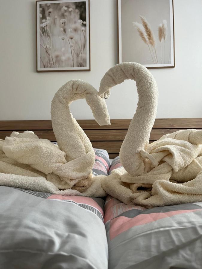 Novy Apartman V Arealu Wellness Hotelu Frymburk Εξωτερικό φωτογραφία