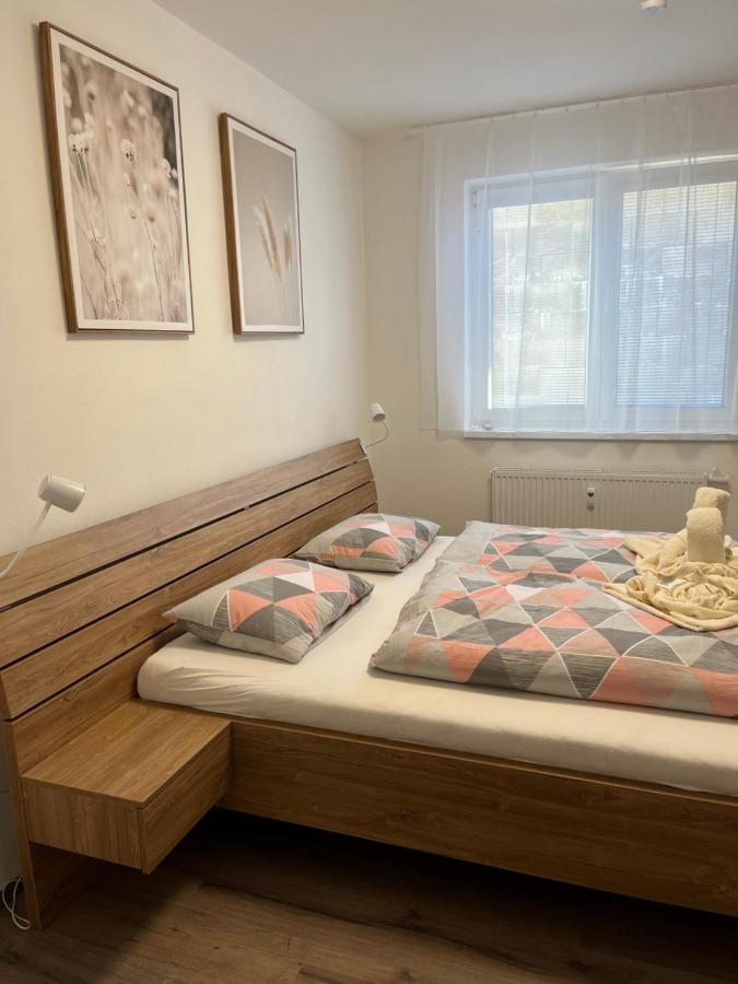 Novy Apartman V Arealu Wellness Hotelu Frymburk Εξωτερικό φωτογραφία